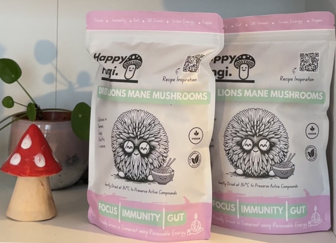 How to Use Dried Lion’s Mane in Cooking: Recipes and Tips