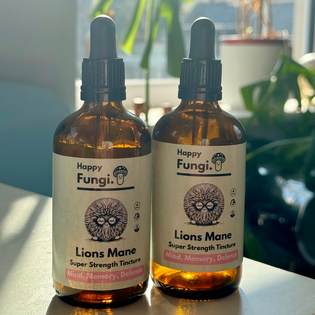 Unveiling the Power of Lion’s Mane: What Sets Happy Fungi’s Tinctures Apart