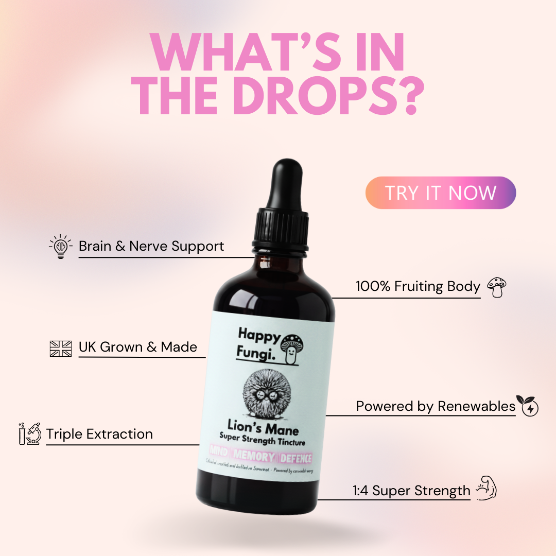 Lion’s Mane Extract | Super Strength Nootropic Tincture – UK Grown