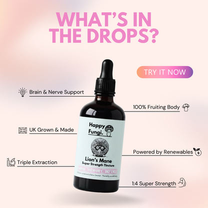 Lion’s Mane Extract | Super Strength Nootropic Tincture – UK Grown