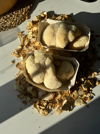 Premium Dried Lion's Mane Mushrooms | Enhance Cognitive Health Naturally - 50g