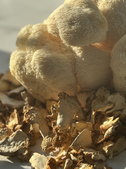 Premium Dried Lion's Mane Mushrooms | Enhance Cognitive Health Naturally - 50g