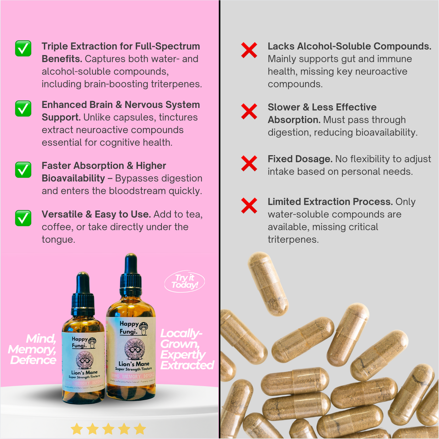 Lion's Mane Triple-Extracted Super Strength Tincture